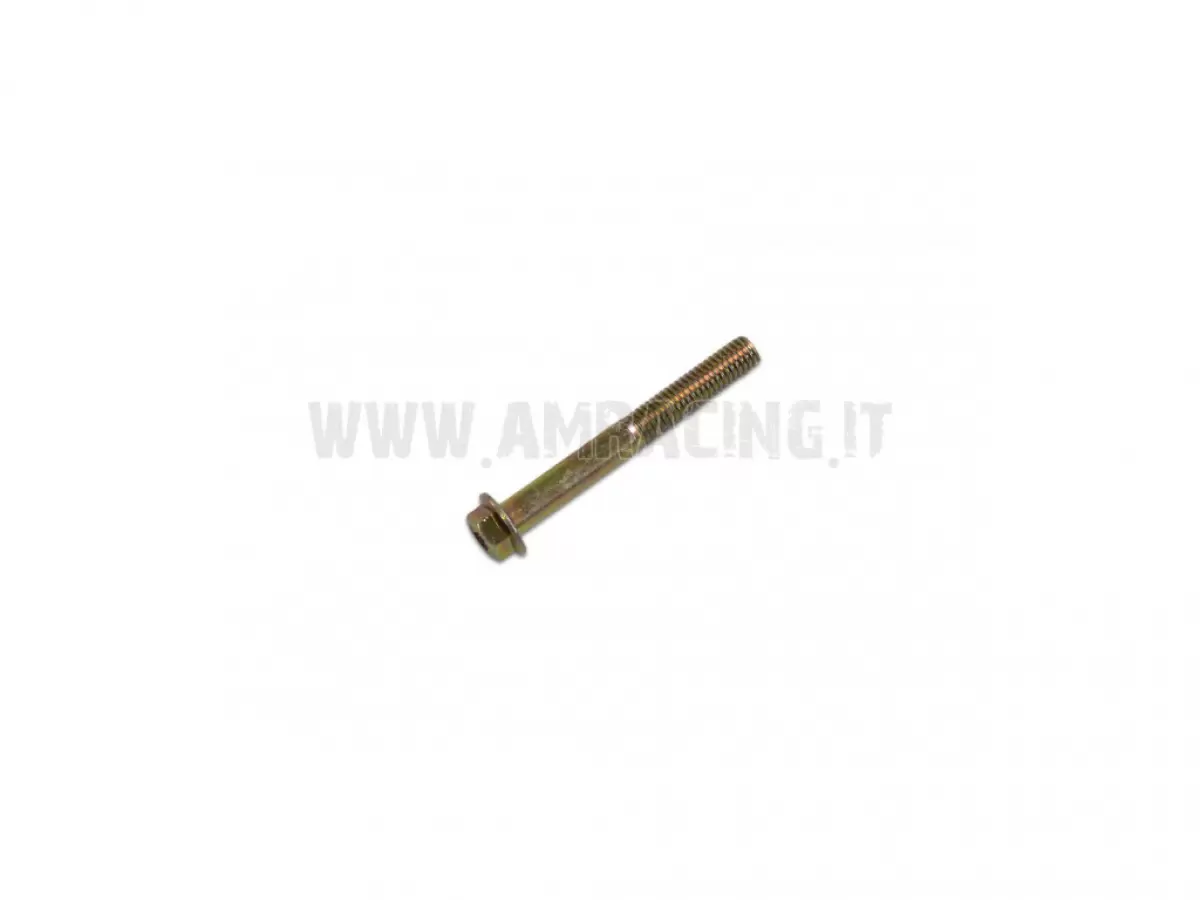 TORNILLO TE F/R 6X50   Ch.8