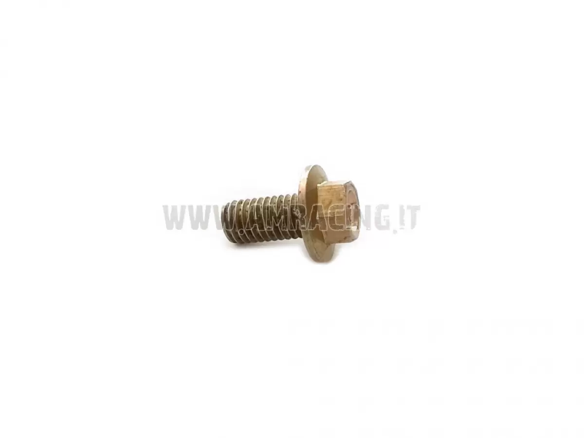 TORNILLO TE F/R 8X16   Ch.10