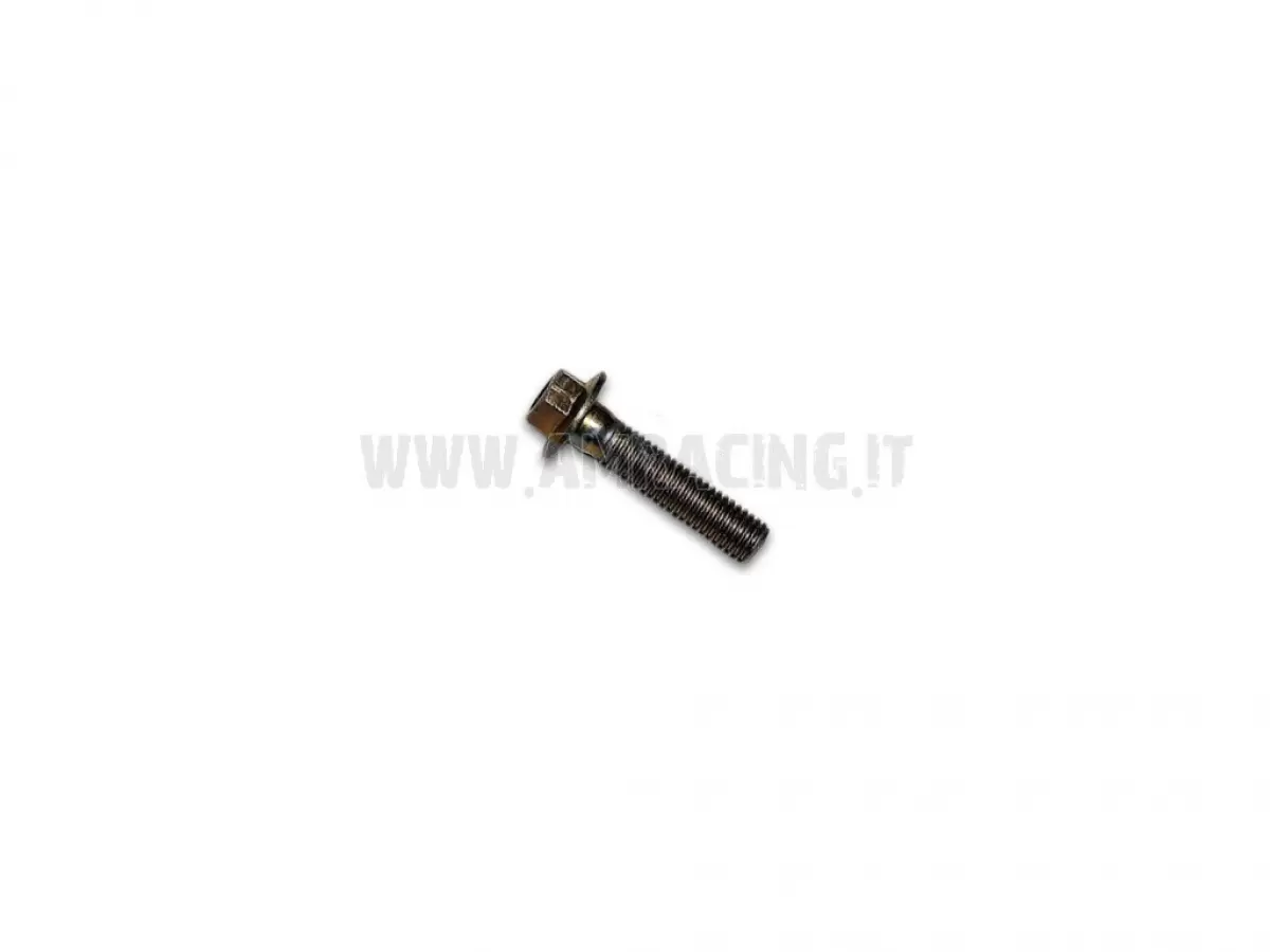 TORNILLO TE F/R 8X35   Ch.10