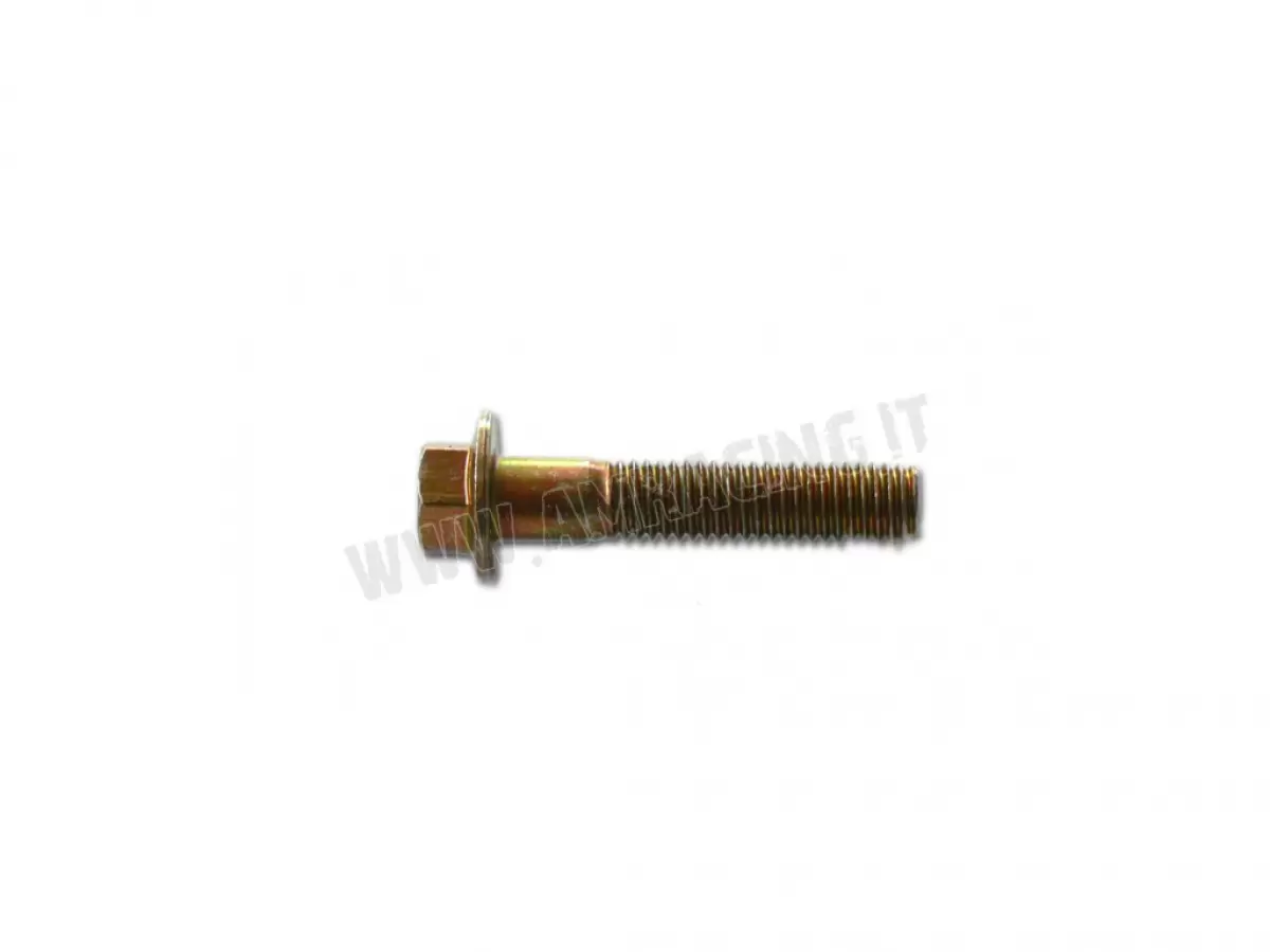 TORNILLO TE F/R 8X40   Ch.10
