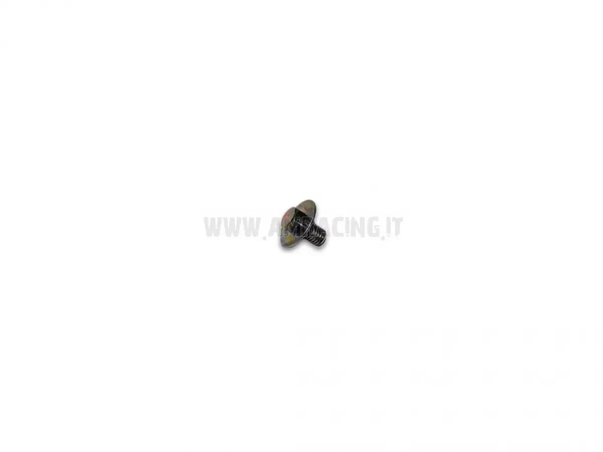 VITE TE F/R 6X10 MM
