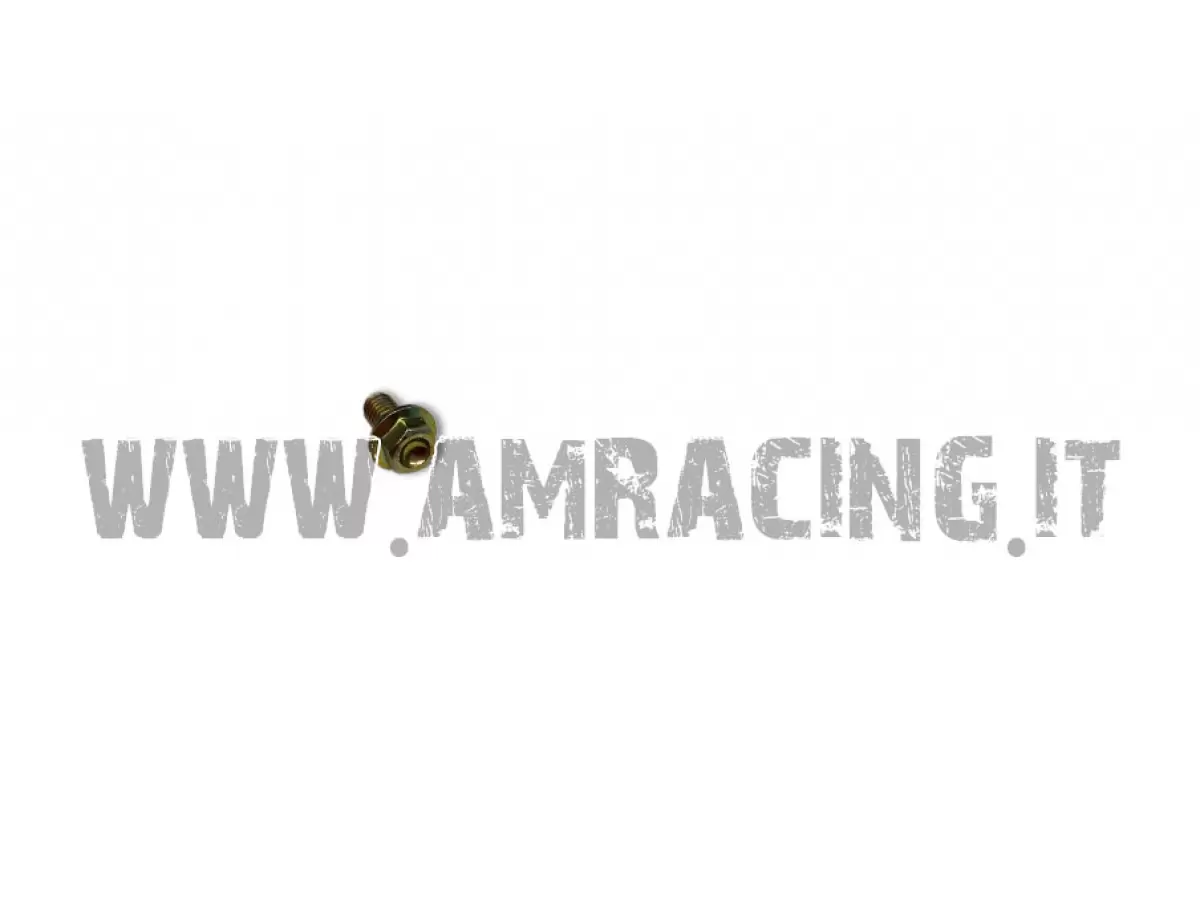 SCREW TE F/R 6X10