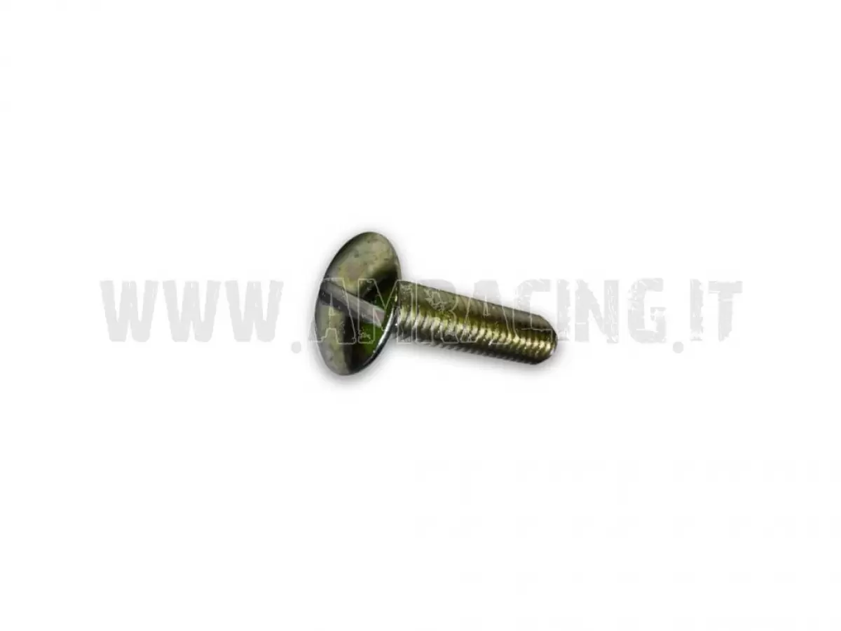 LARGE TB SCREW 6X25