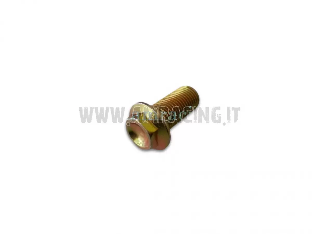 VITE TE/FLANG M12X25 T.A.