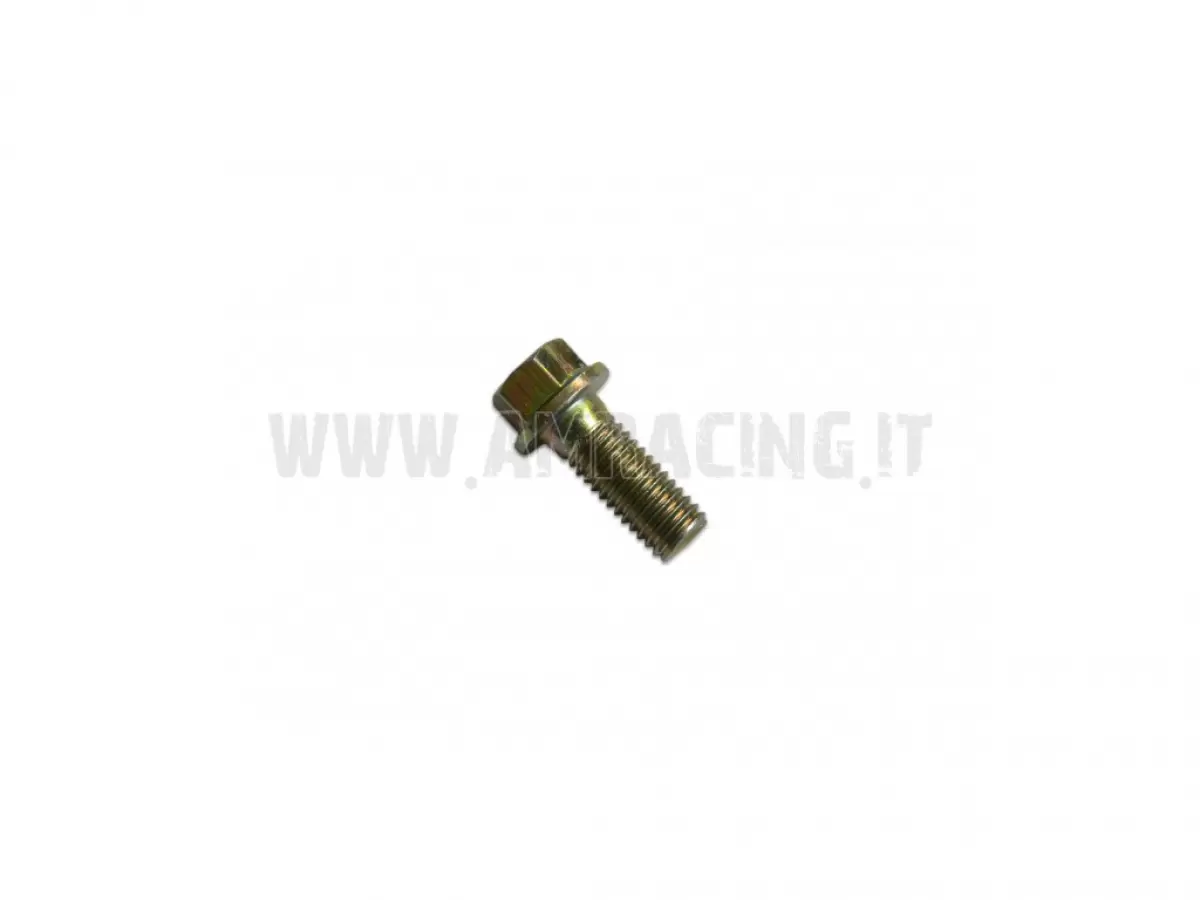 TORNILLO TE/FLANG M8X1.25X20 T.A