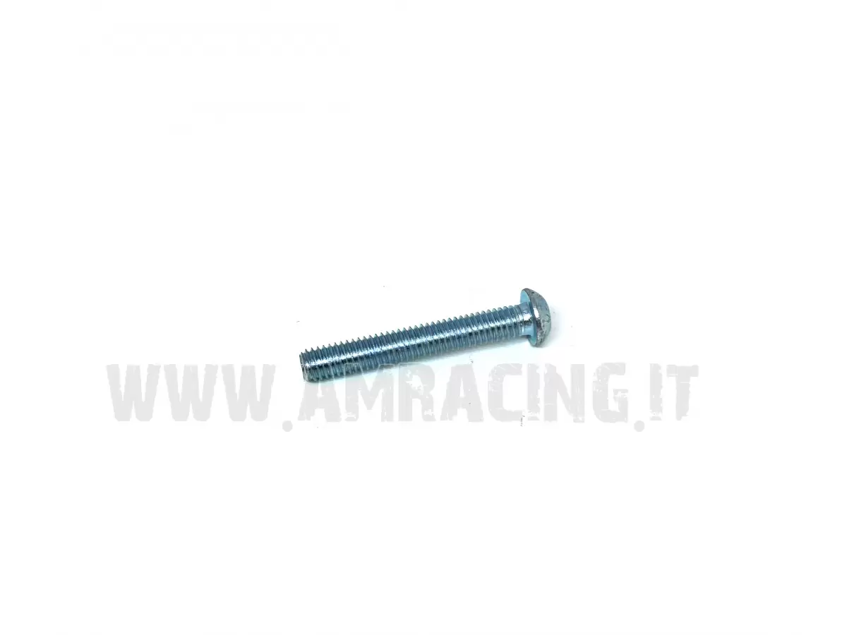 SCREW TBCE 6X40