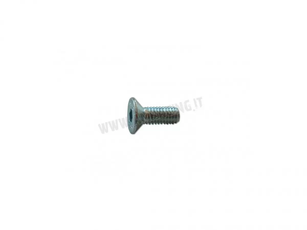 SCREW TSEI 6X16