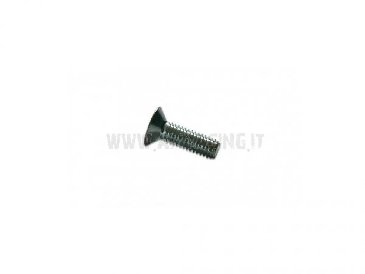 TORNILLO TSEI 6X20