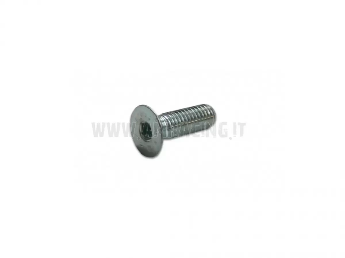 TORNILLO TSEI 8X25