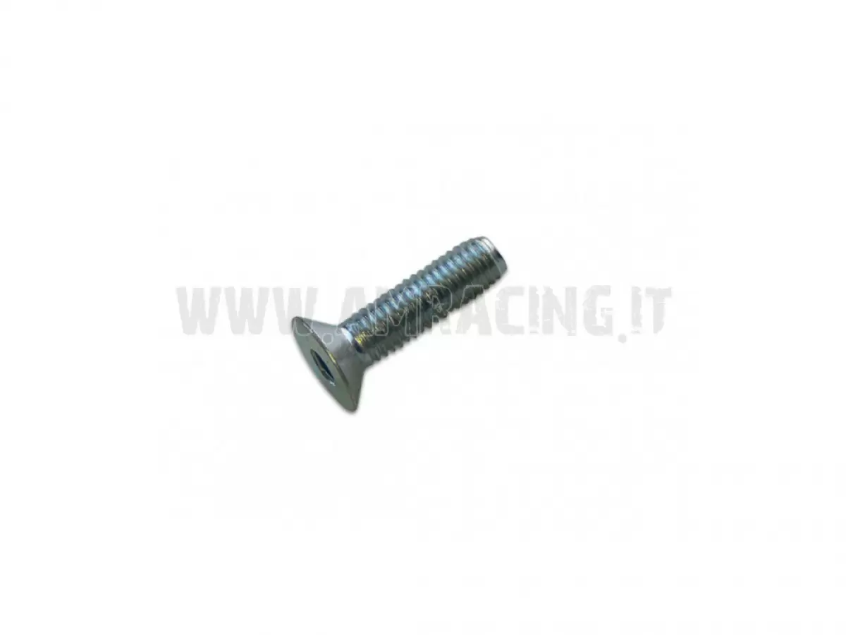 SCREW TSEI 8X30