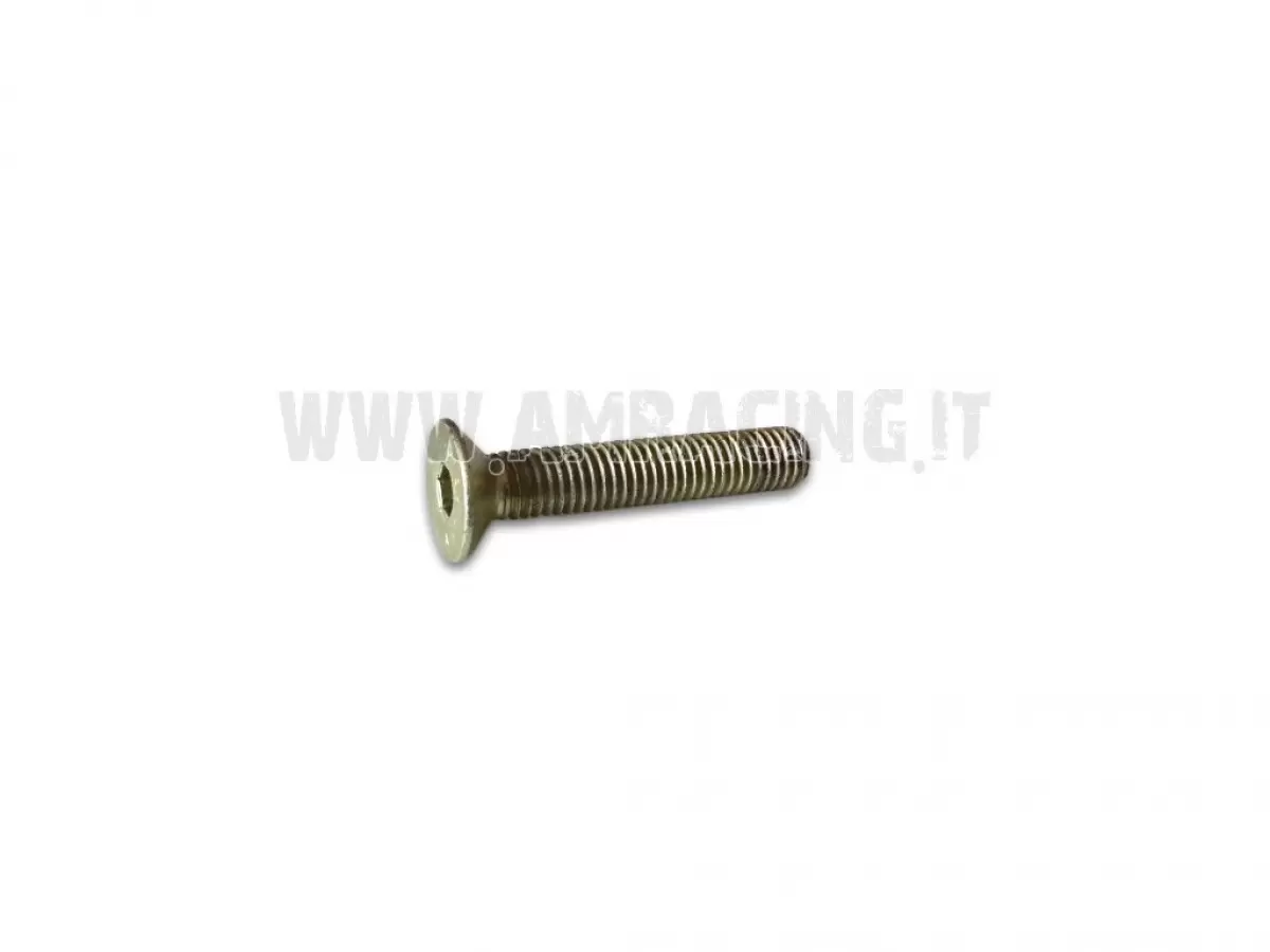 SCREW TSEI 8X40