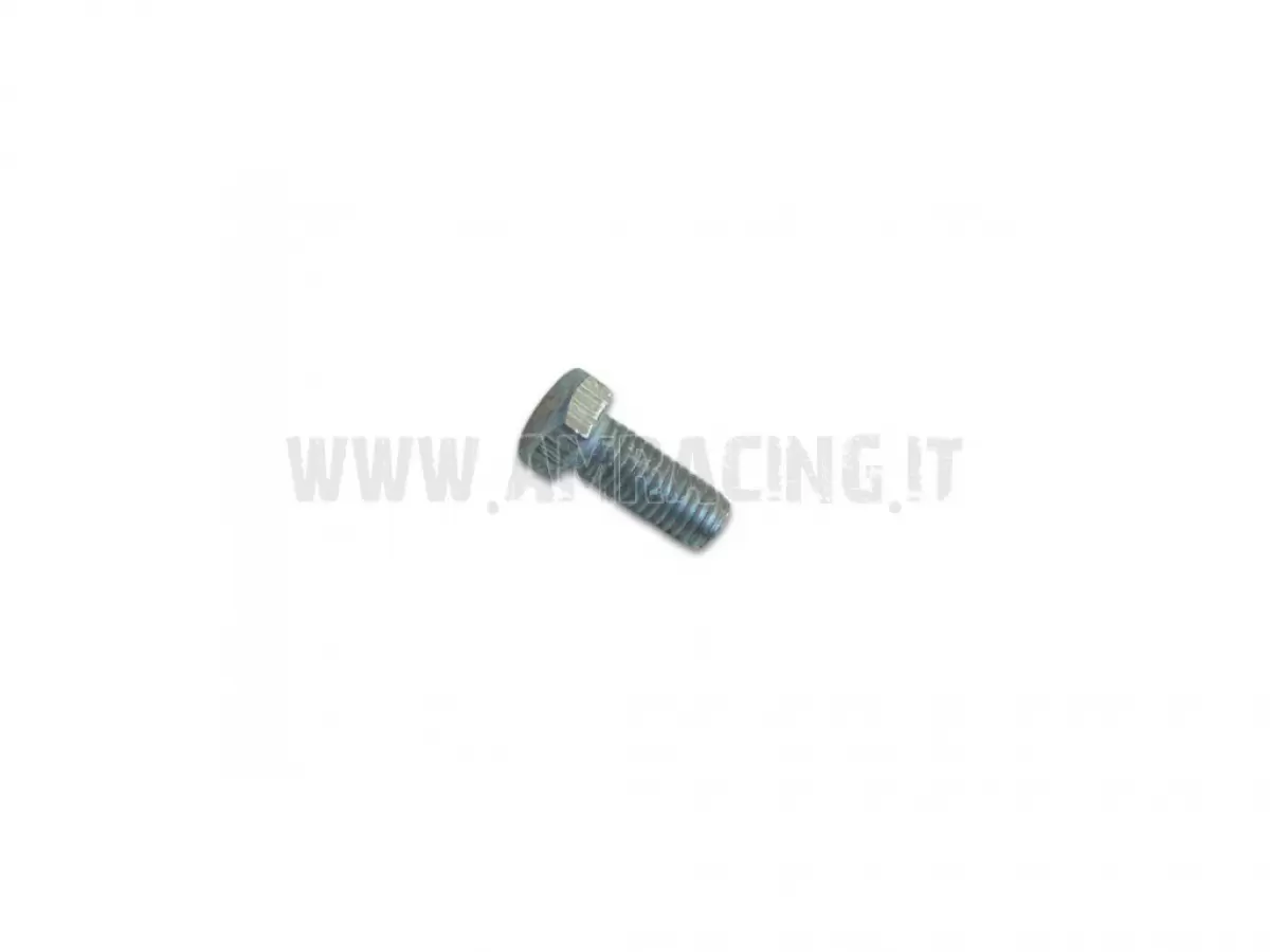TORNILLO TE 5X12