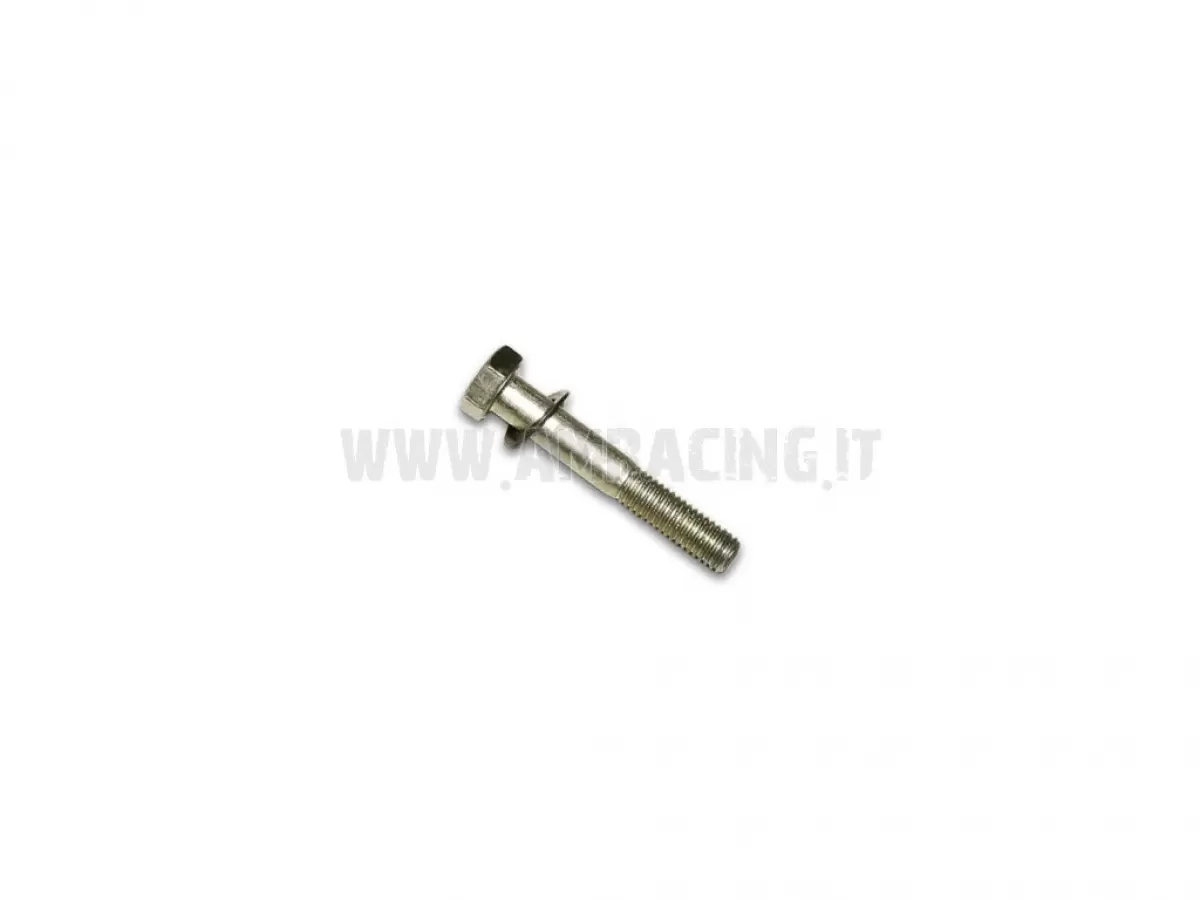 TORNILLO TE 8X50