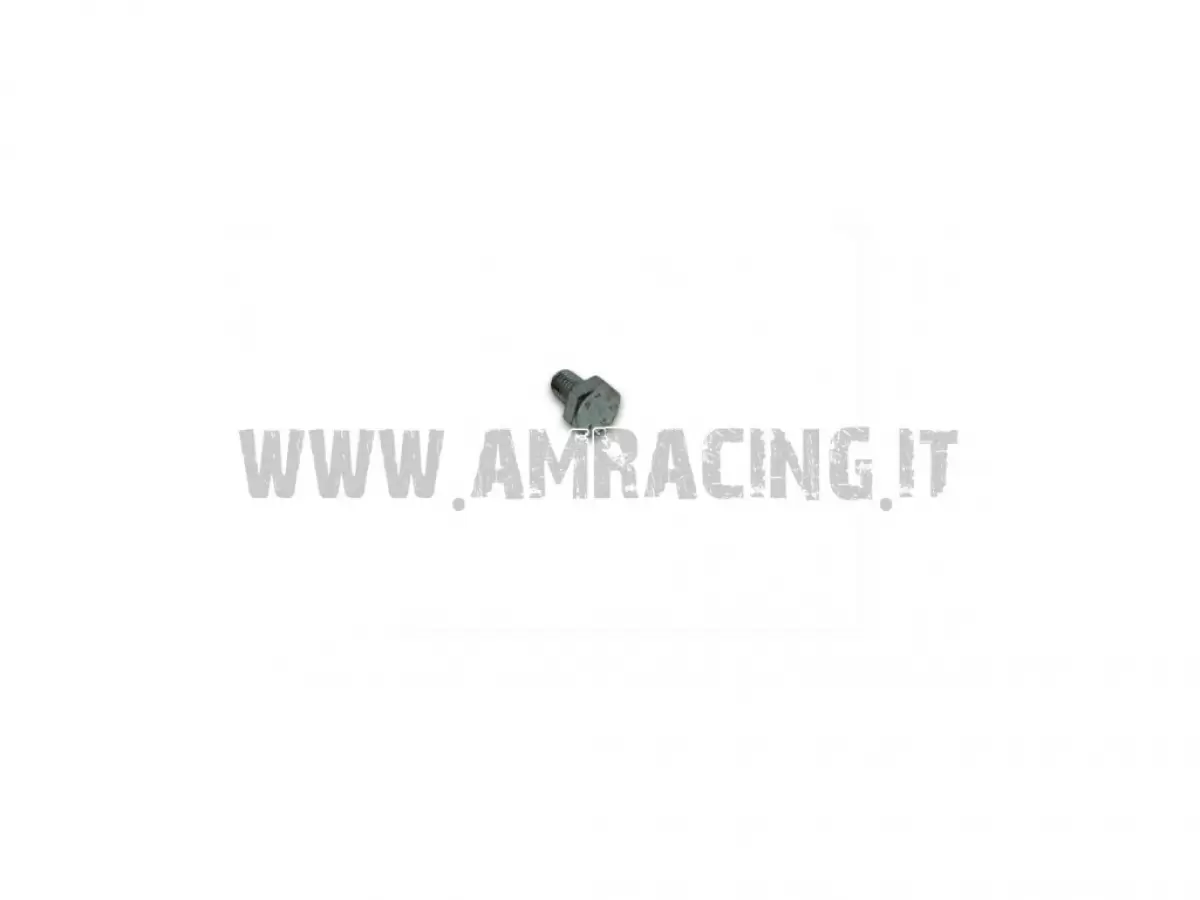 TORNILLO TE 10X16