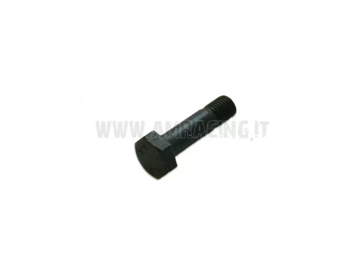 VITE TE 10X55 X AMMORTIZZATORE SOTTO