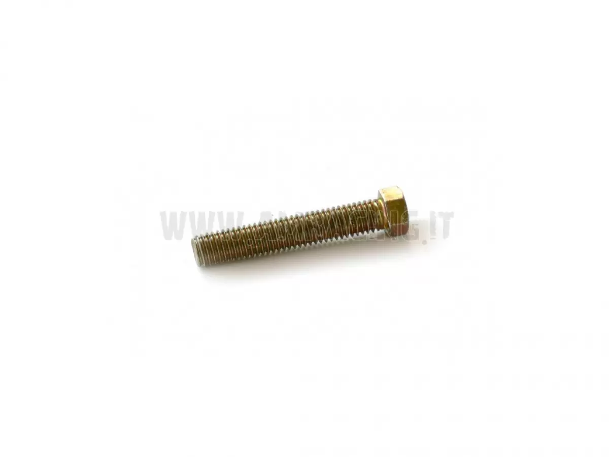 SCREW TE 8X45