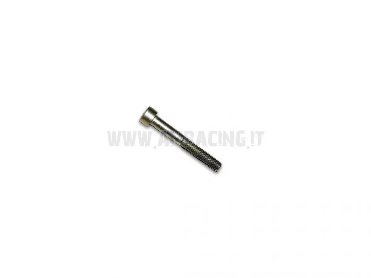 SCREW TCEI 6X45