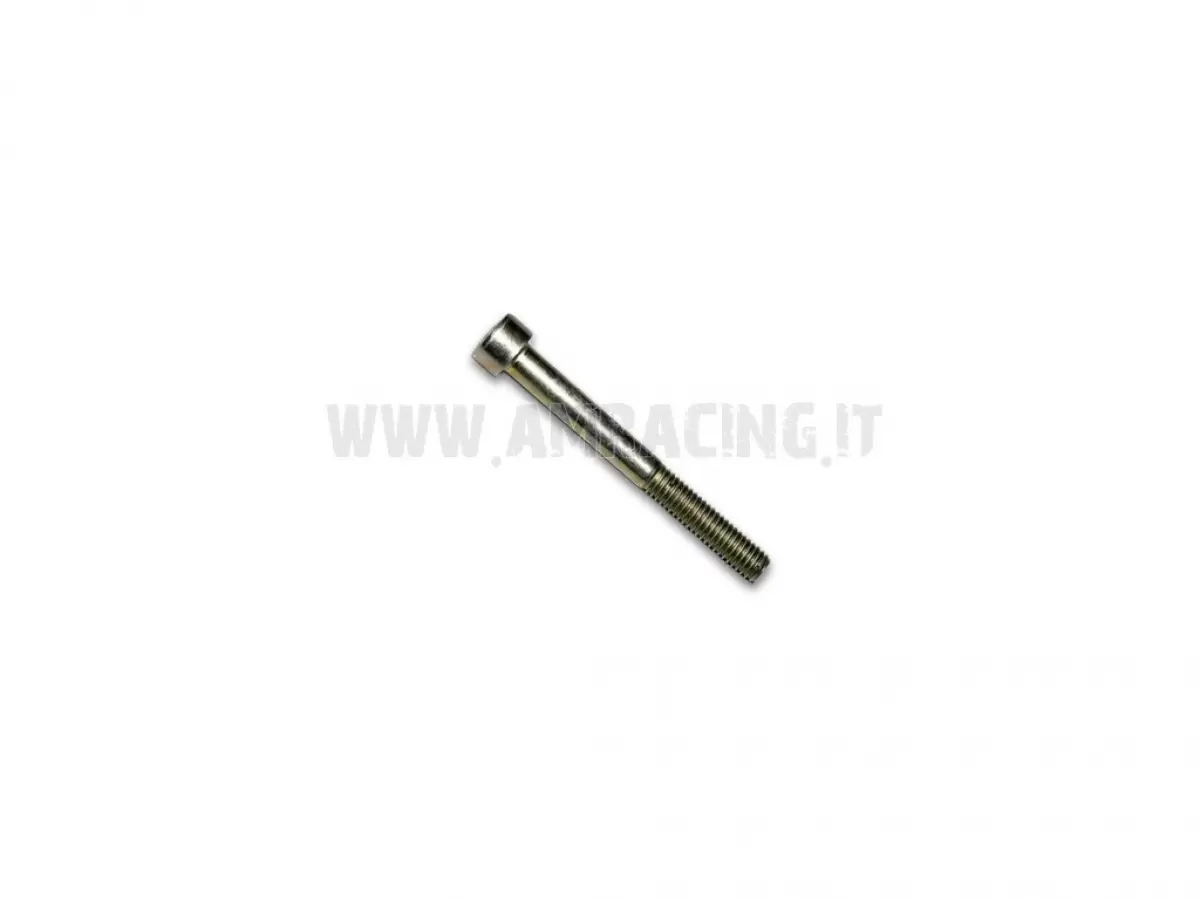 TORNILLO TCEI 6X55