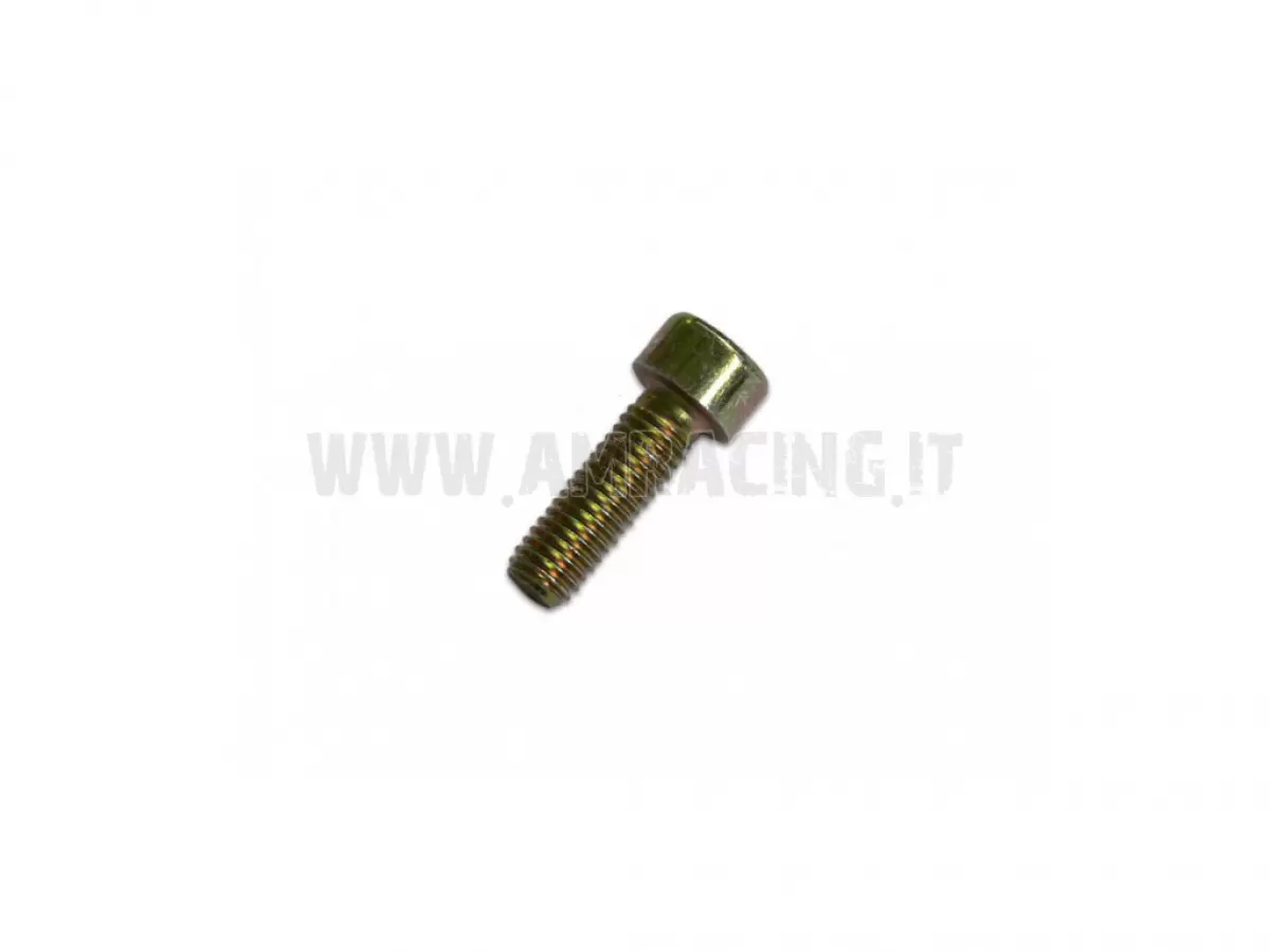 SCREW TCEI 8X25