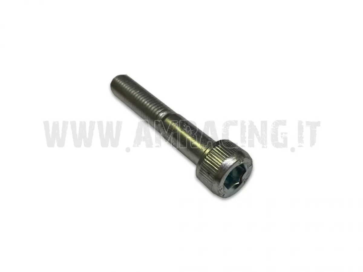SCREW TCEI 10X60