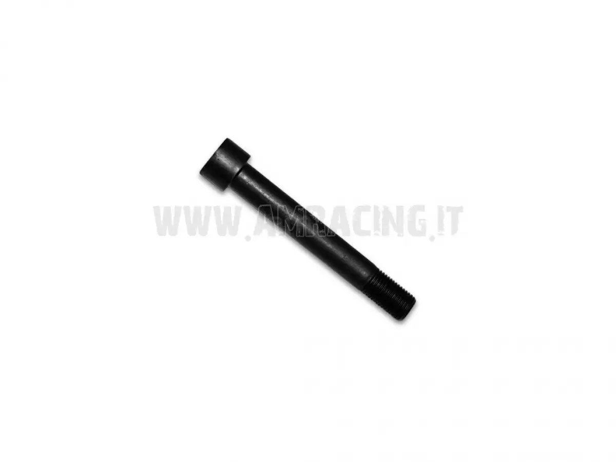 VITE TCEI 14X100 LEVERAGGIO