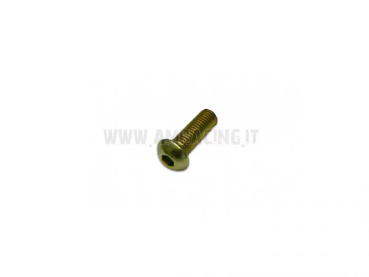 ENDURO SIDE STAND SCREW TBCE 10X35