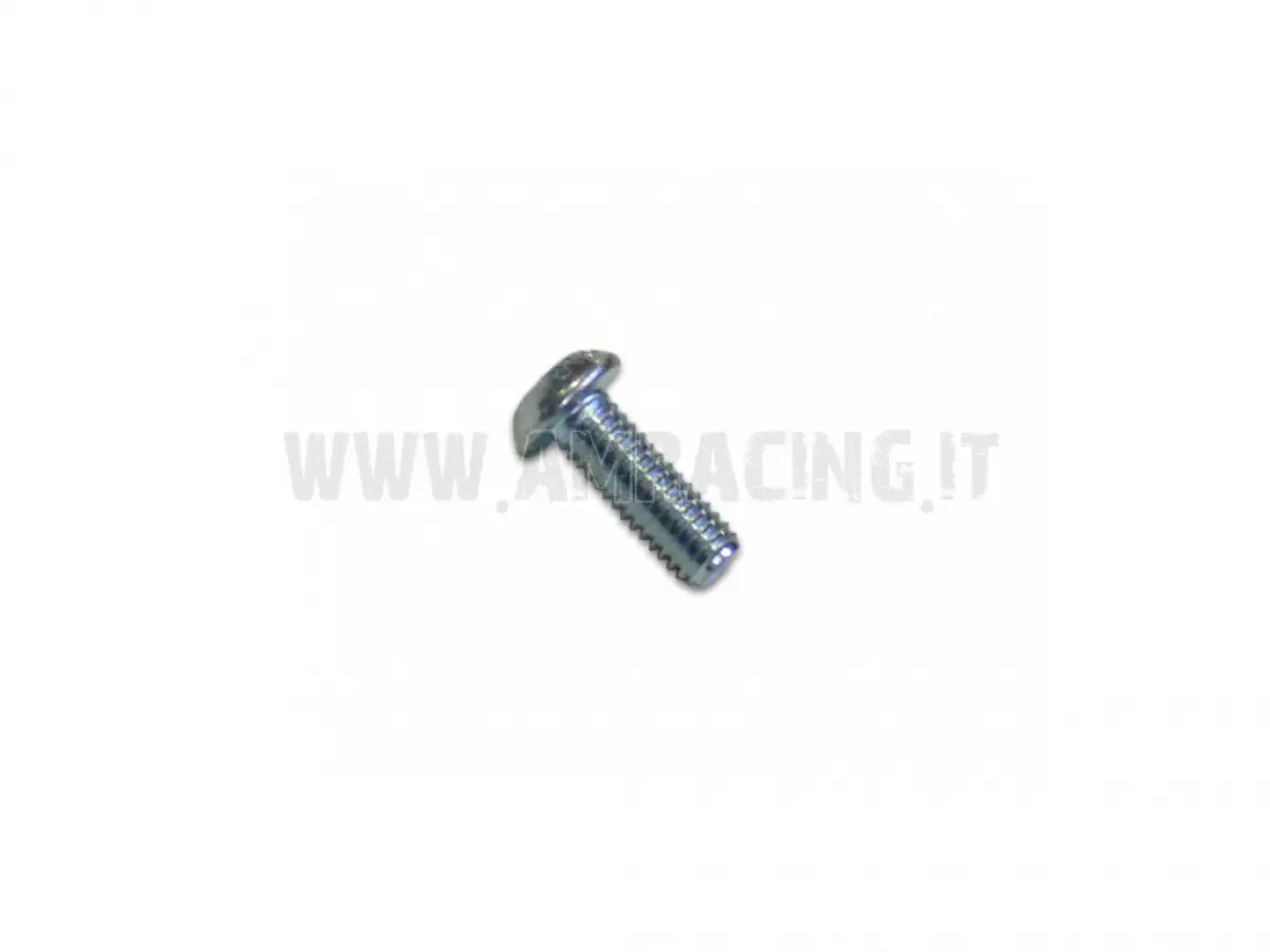 SCREW TBCE 6X16