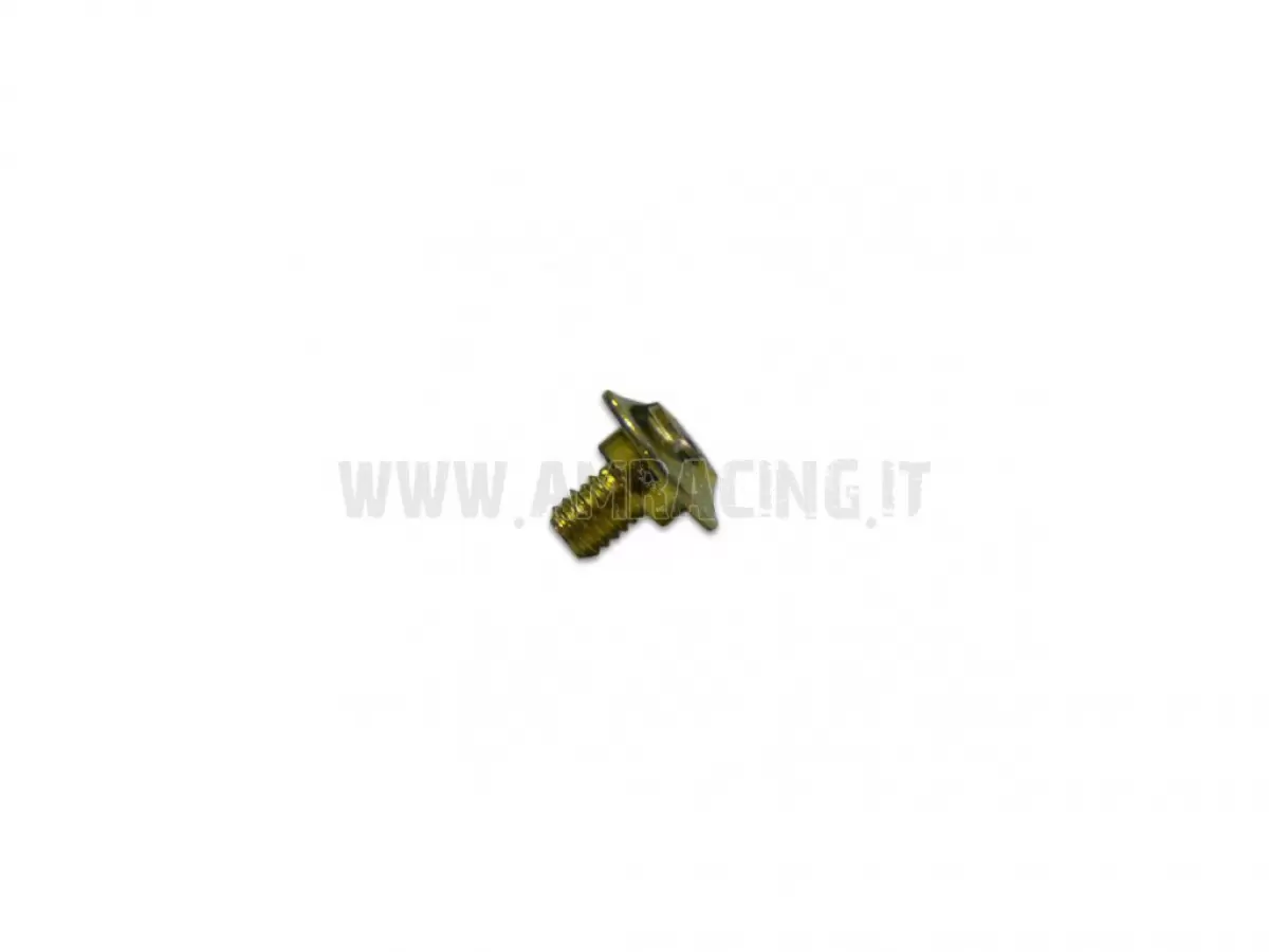 TORNILLO CABEZA BOMBADA PROTECTOR HORQUILLA TBCE 6X7