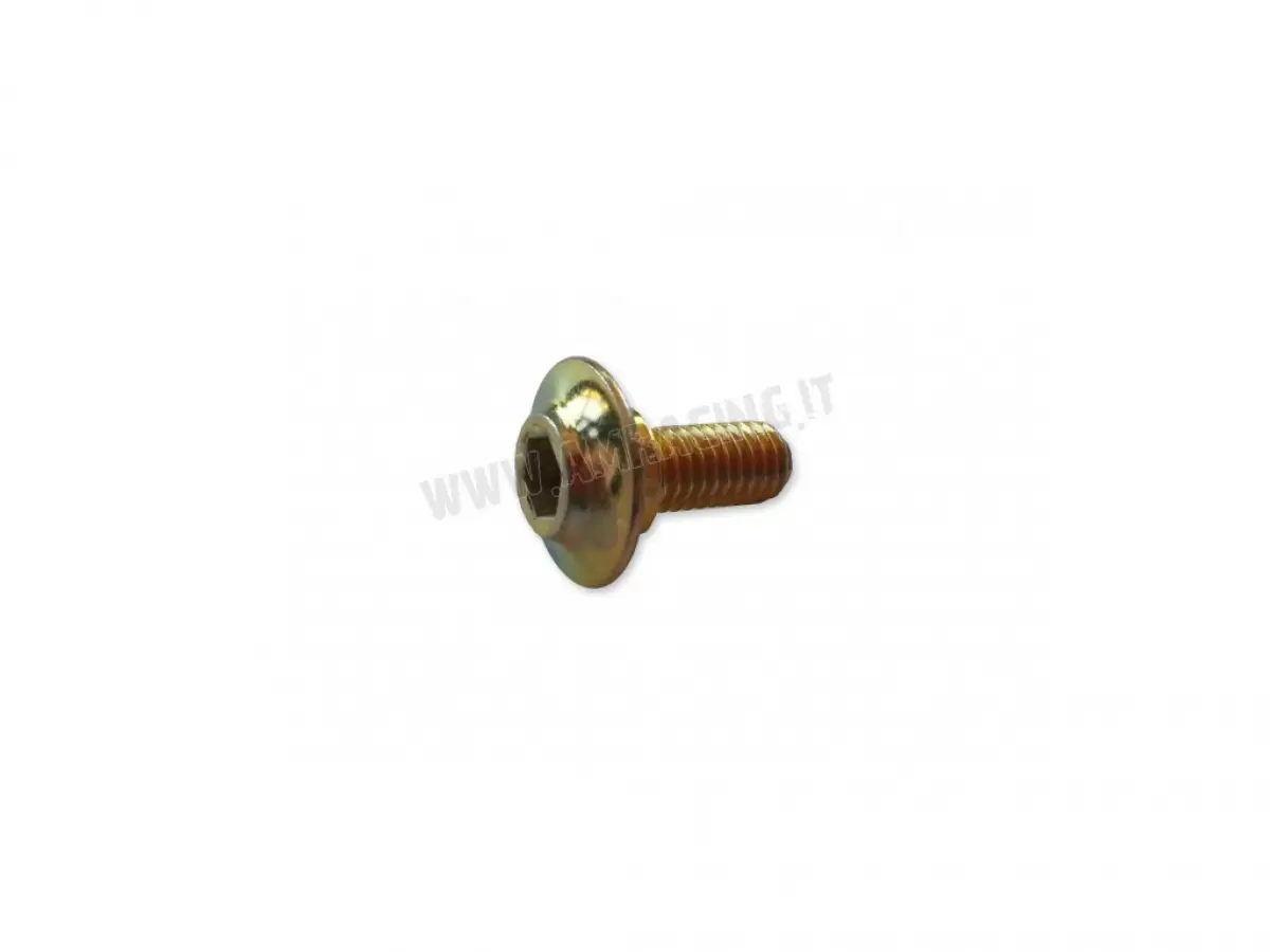 VITE TBCE 6X12 PROTEZIONE FORCELLA