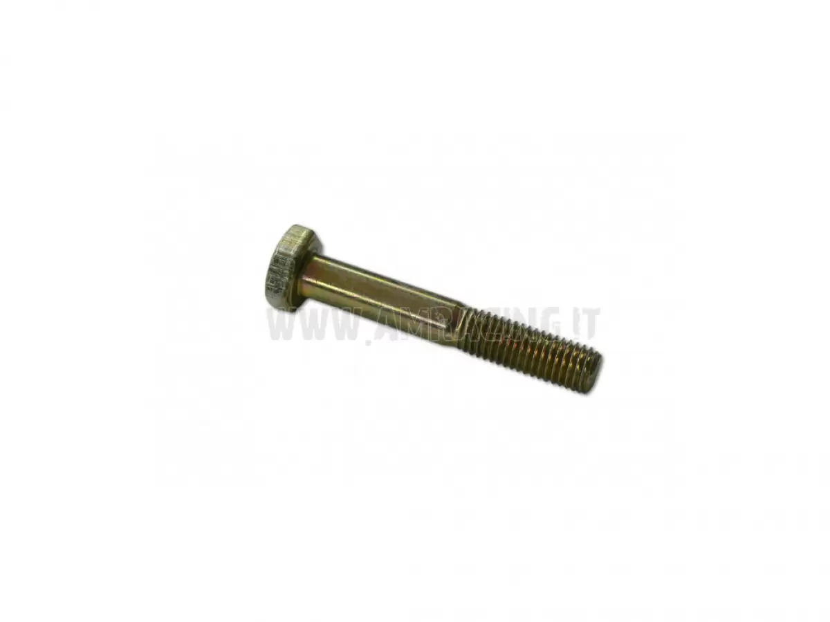 TORNILLO TE 10X65