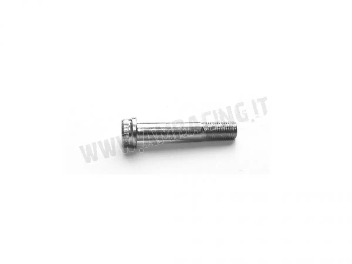 TORNILLO EJE RUEDA SM TCEI 10X55X1.25