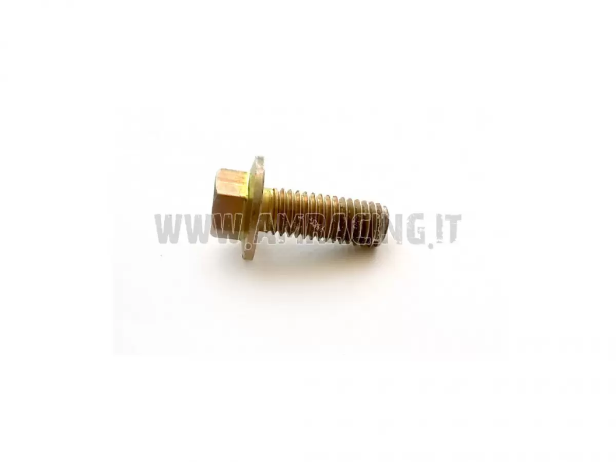 SCREW TE F/R 8X21