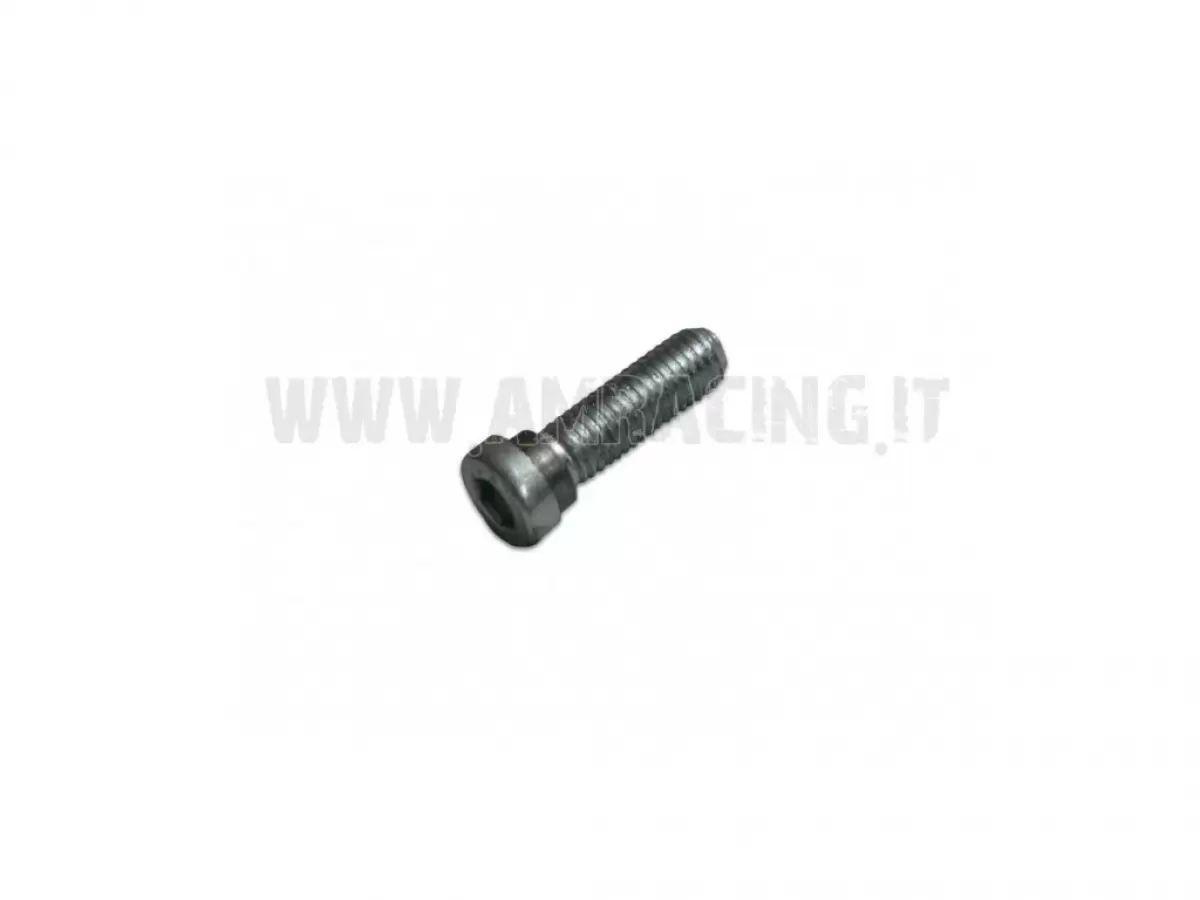 UPPER CHAIN ROLLER SCREW TCEI M8X25 08
