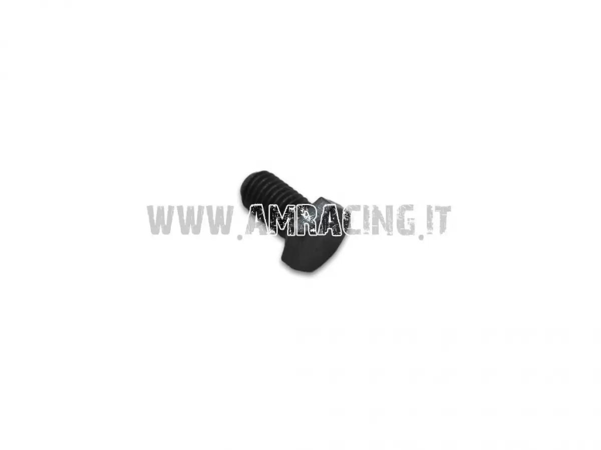 VITE PARASTRAPPI K9 M7X1X12.5
