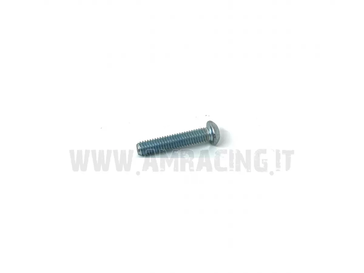 SCREW TBCE 6X30