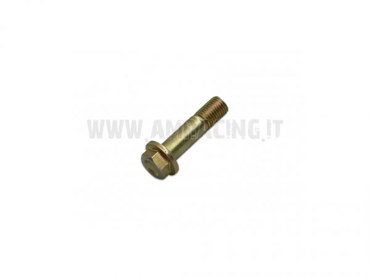 SCREW TE F/R 10X39 1.25 T.AL08