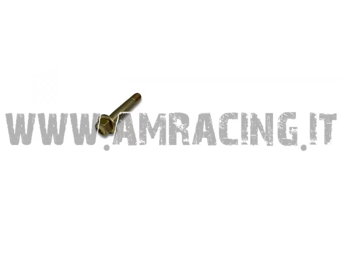 VITE TE F/R 10X54 1.25 T.AL08
