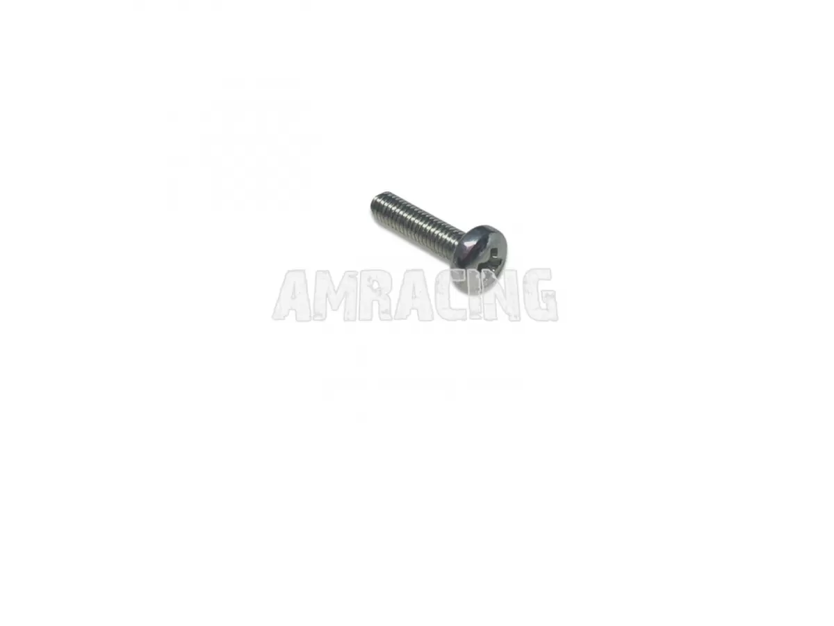 SCREW T.C. 2,5X12