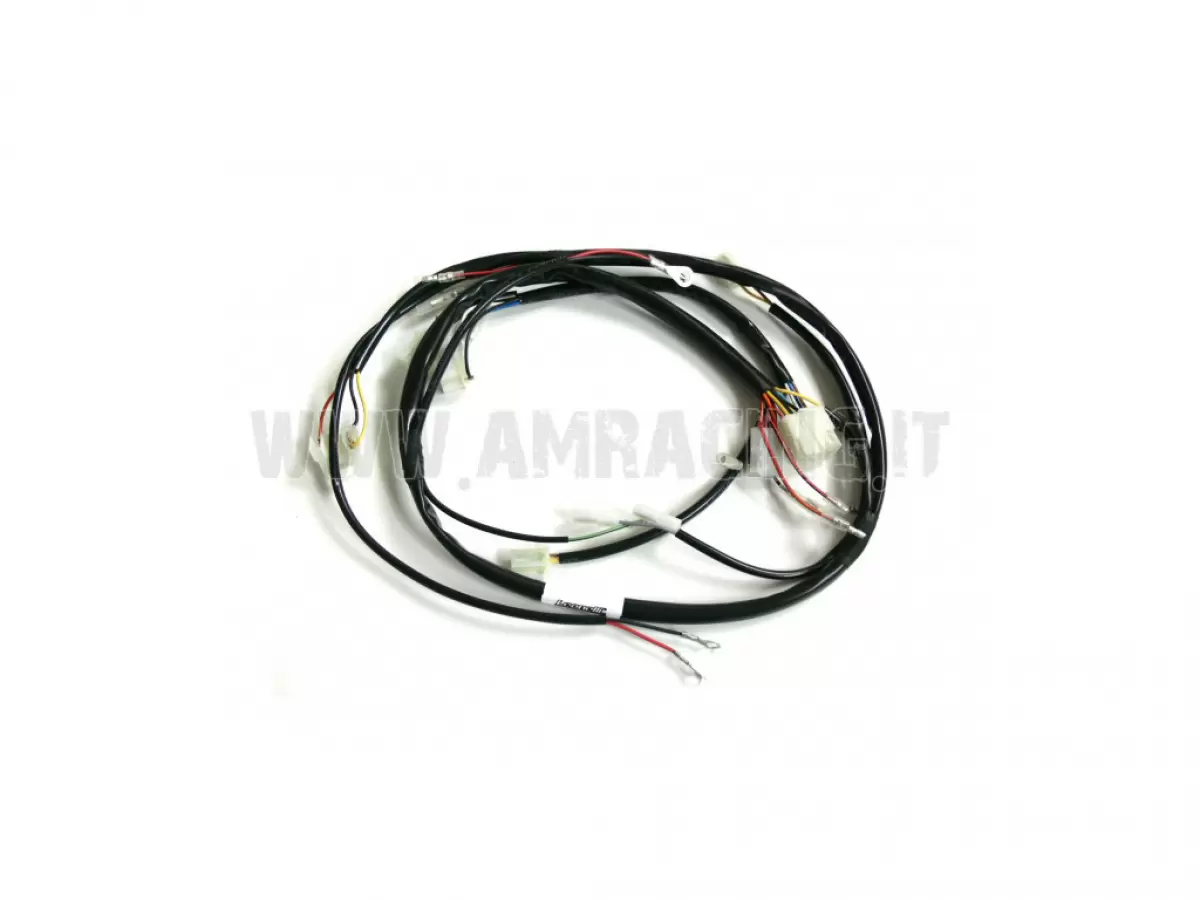 ELECTRICAL WIRING FOR SMR 2-STROKE BATTERY, MODEL 08/10