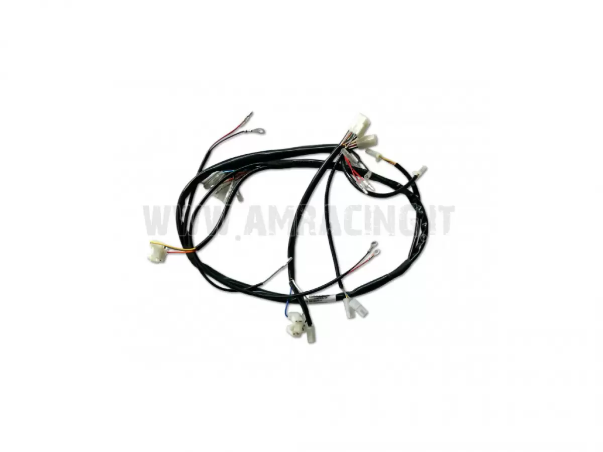 CABLAGGIO ELETTRONICO/BATTERIA 2T SMR 2011
