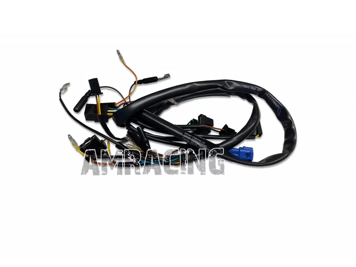 ELECTRICAL WIRING FOR FRECCE 2T 250/300 EN ES 2019