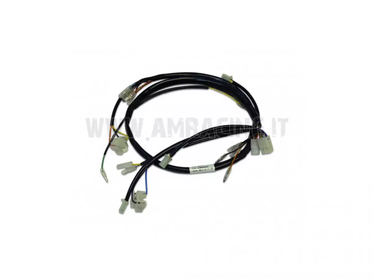 CABLAGGIO ELETTRONICO FRECCE 2T 08/11