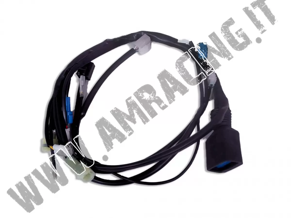CABLEADO 2T 250/300 ES CARBURADOR MOD. 2019