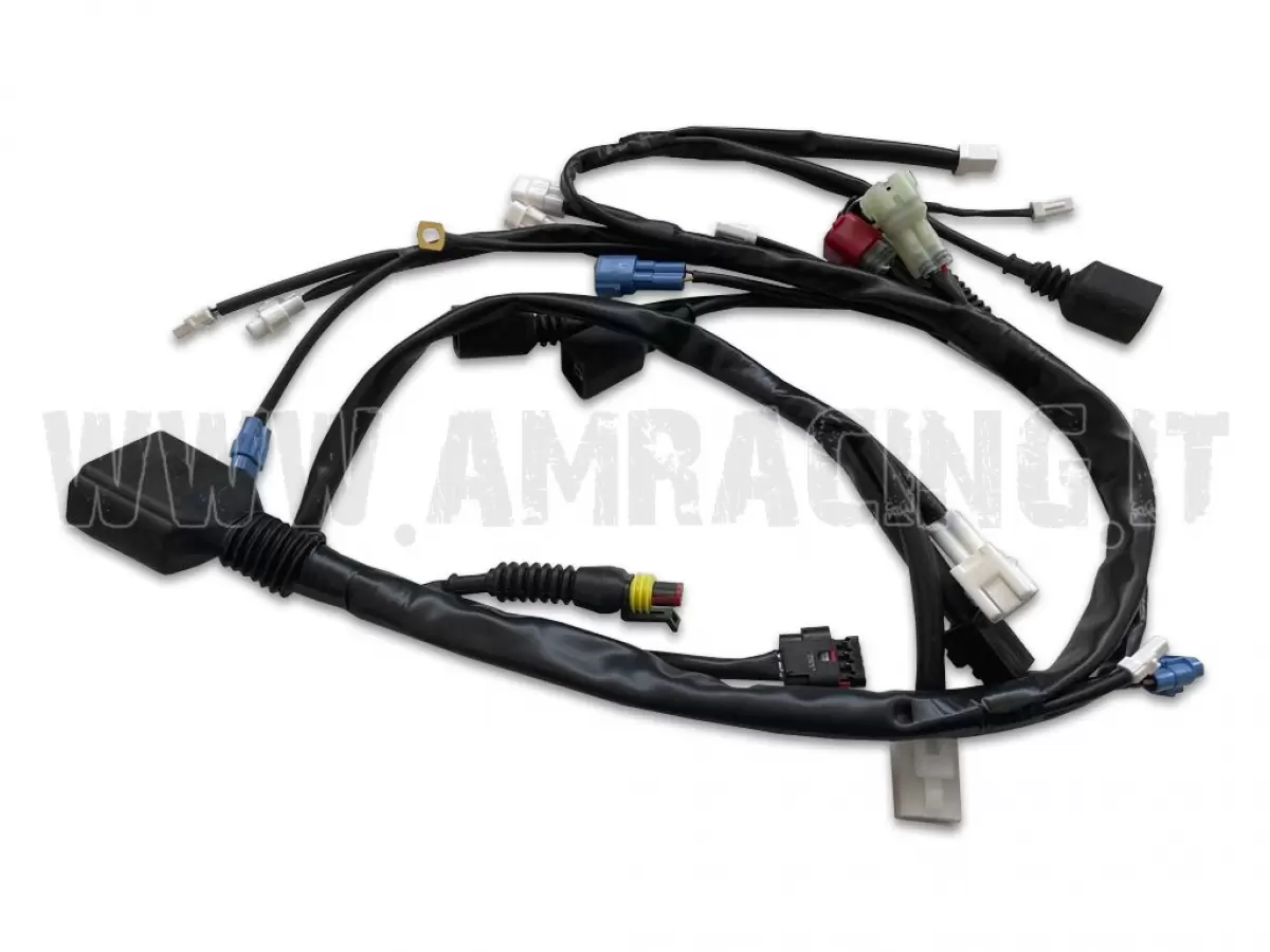 CABLAGGIO 2T 250/300 Fi END MY2022