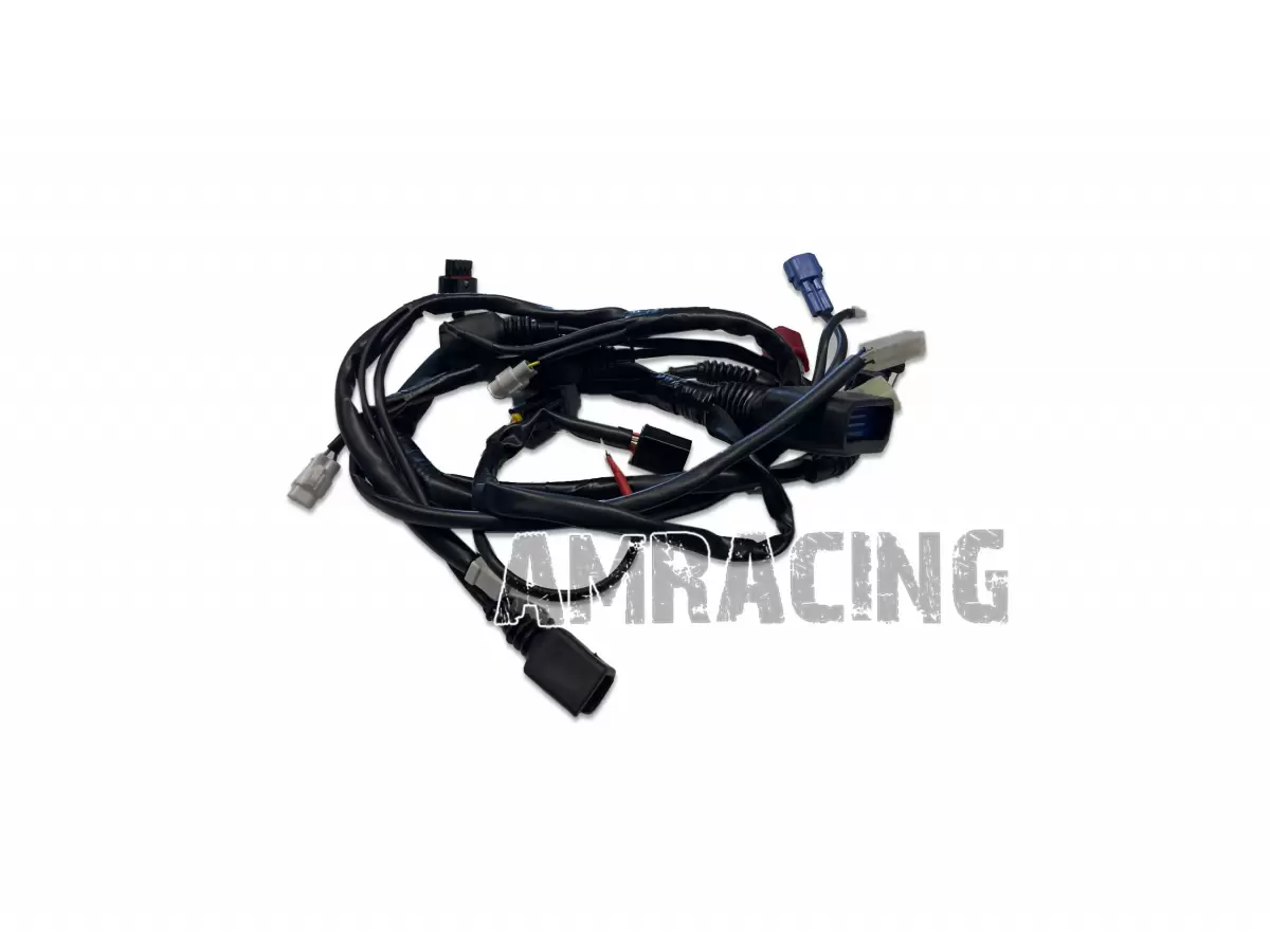 CABLAGGIO 2T 125 Fi SMR MY2022