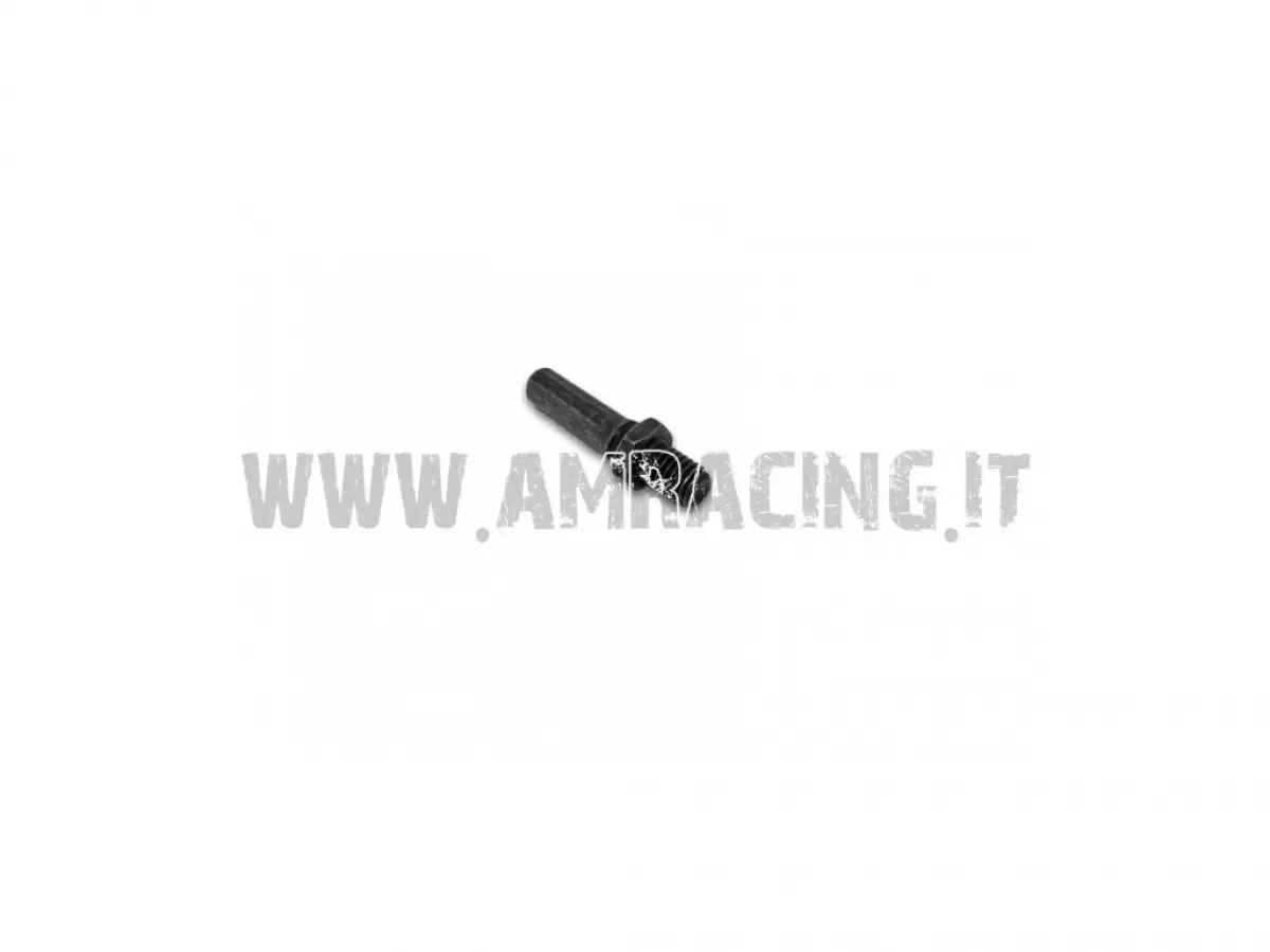 PERNO PER PINZA FRENO POSTERIORE 05/12