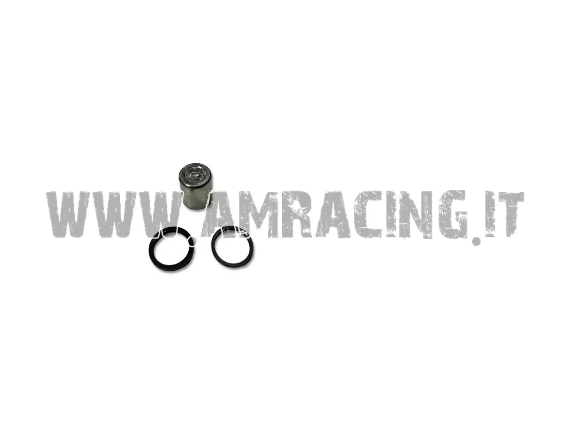 KIT PISTONE+ OR PINZA FRENO POST d.25 BRAKING JUNIOR