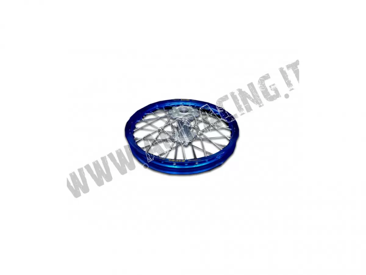 CERCHIO POSTERIORE COMPLETO 19x1.85  2015