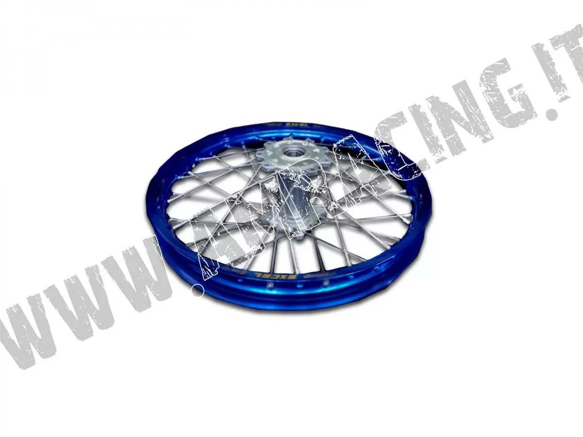 CERCHIO POSTERIORE COMPLETO 19x1.85  2015