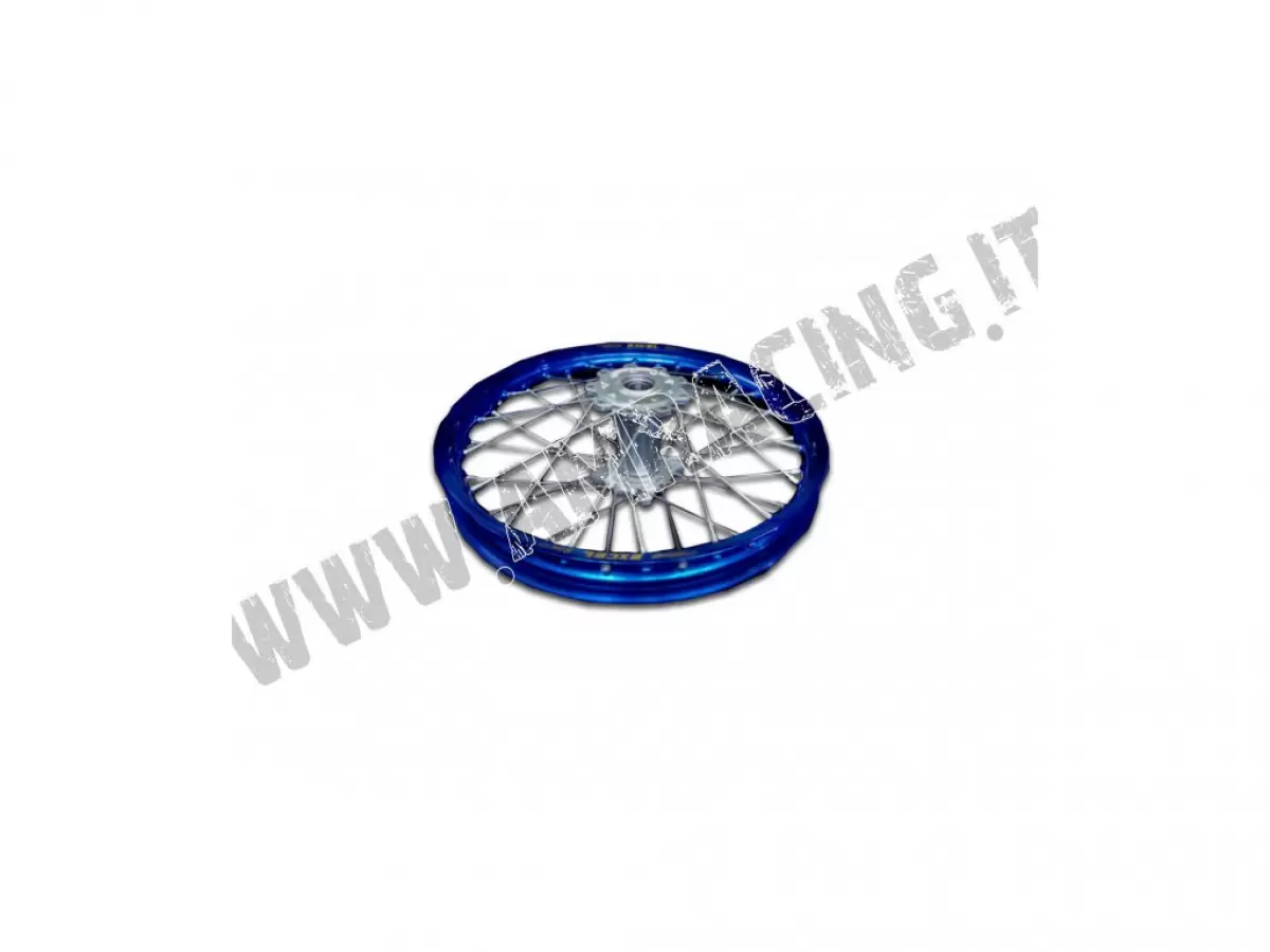 CERCHIO POSTERIORE COMPLETO 18x2.15 2015